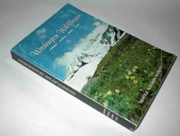 picture of book