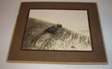 C.H. McFaden threshing photograph